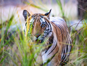 Fotoschule-Koeln | Fotokurse in K&ouml;ln | 