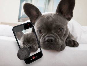 Fotoschule-Koeln | Fotokurse in K&ouml;ln | 