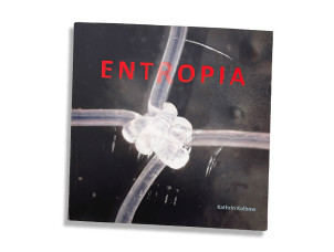 Fotoschule-Koeln | Fotokurse in K&ouml;ln | 