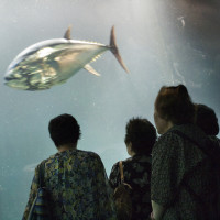 koeln-fotokurse-und-fotoworkshops-dozent-frank-duerrach-03